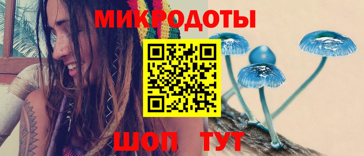 Псилоцибиновые грибы мухоморы Алексин
